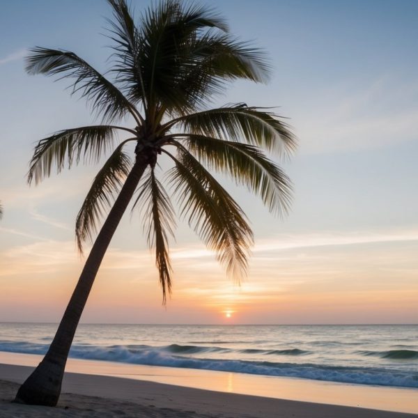 Uma praia serena ao pôr do sol, com palmeiras balançando na brisa suave e o som das ondas quebrando na costa.