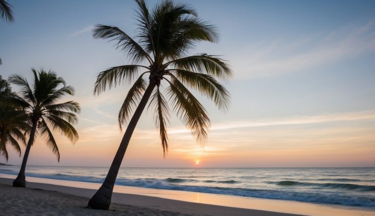 Uma praia serena ao pôr do sol, com palmeiras balançando na brisa suave e o som das ondas quebrando na costa.